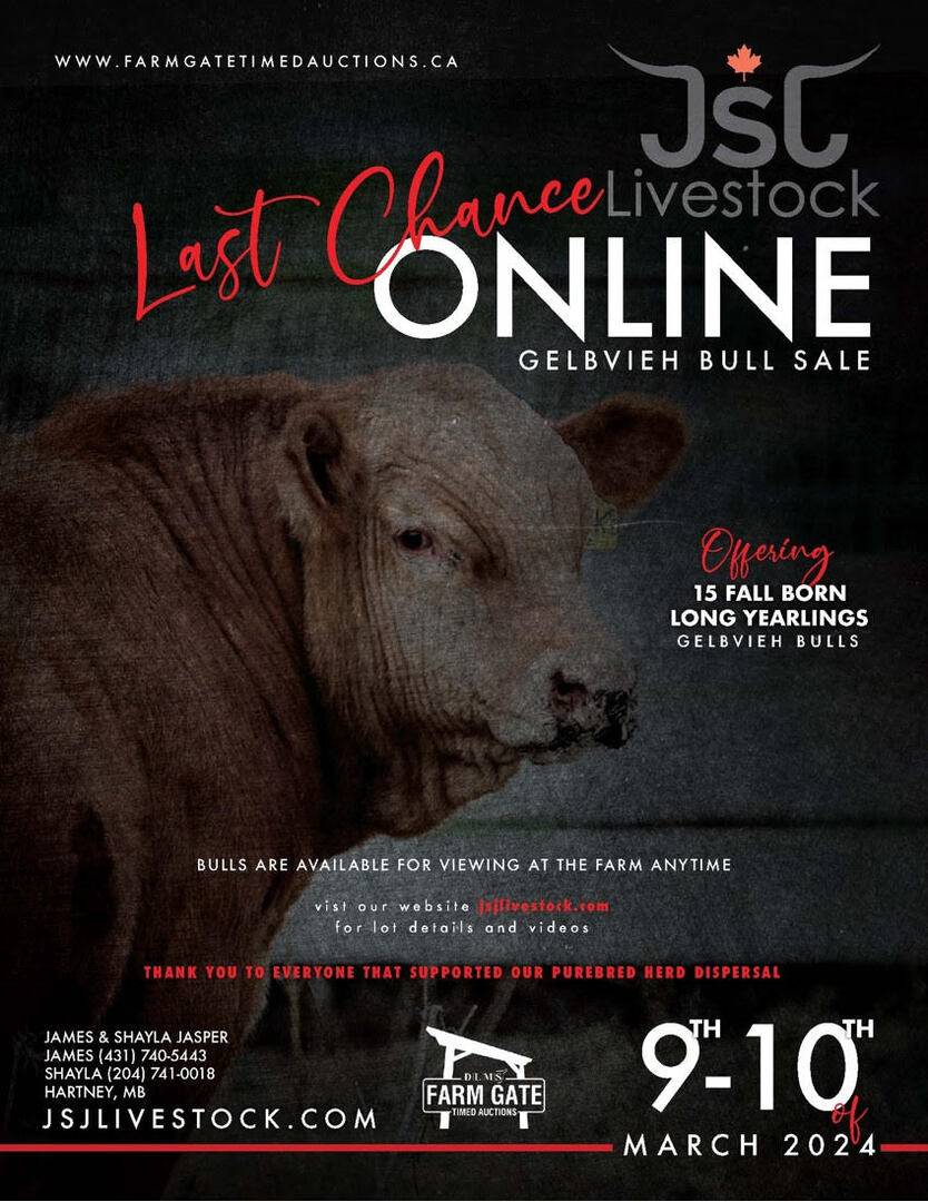 Sale Ad